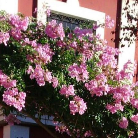 Casa Bignonia Villa Salteras Buitenkant foto
