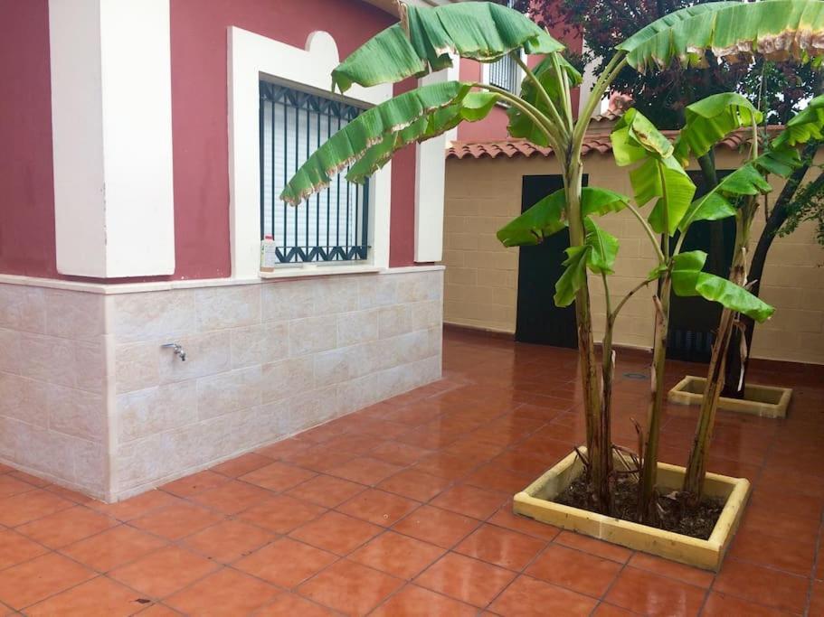 Casa Bignonia Villa Salteras Buitenkant foto